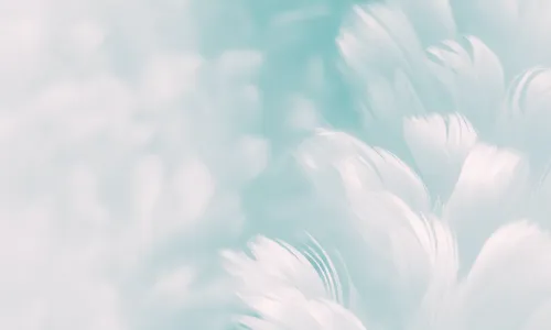 The world of web development thrives on customization and flexibility